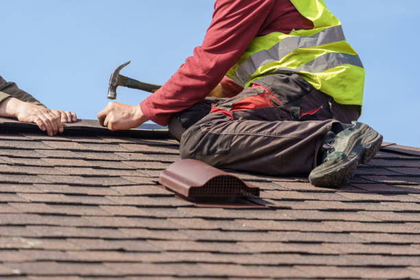 Best Roof Leak Repair  in Victoria, MN