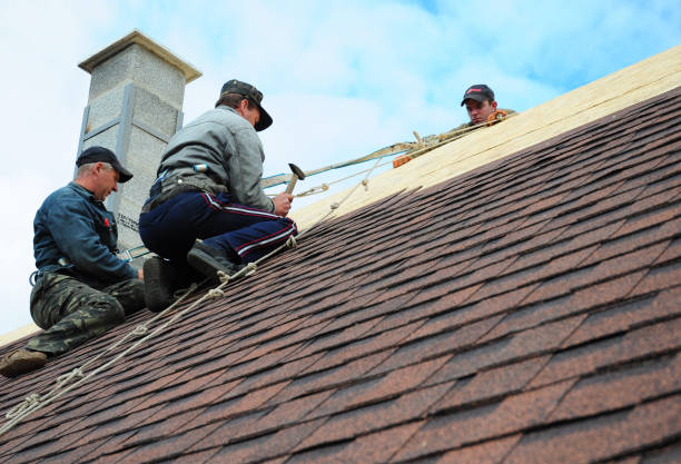 Best Roof Gutter Cleaning  in Victoria, MN